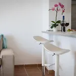 Atlantic Escape La Americas Апартаменти *